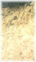 Los suelos pueden analizarse mediante zanjas o calicatas