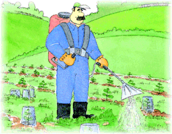 Limpieza qu�mica con mochila (aplicaci�n dirigida y protecci�n de las plantas)