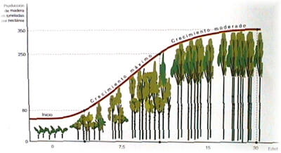 Curva de crecimiento de una plantaci�n de eucalipto