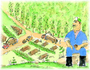 La cosecha debe ser planificada y realizada por profesionales