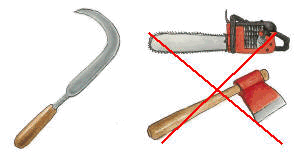 Herramienta adecuada para realizar la selecci�n de brotes