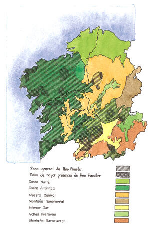 Comarcas geoforestales del Plan forestal