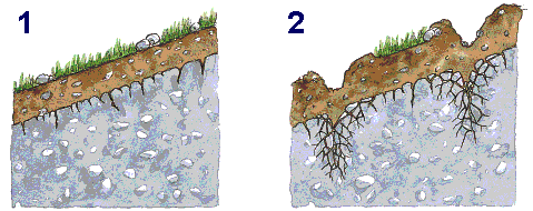 Efecto del subsolado