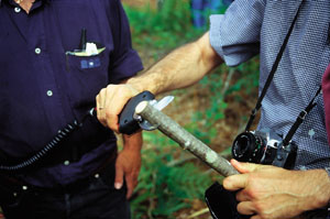 Podadora el�ctrica