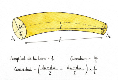 Curvatura y conicidad