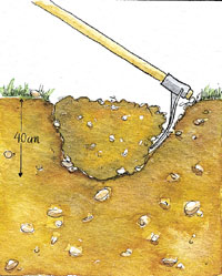 M�todos de preparaci�n del suelo