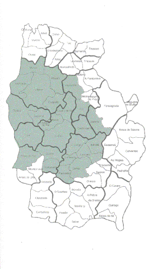 T�rminos municipales con mayor intensidad de repoblaci�n con pino insigne