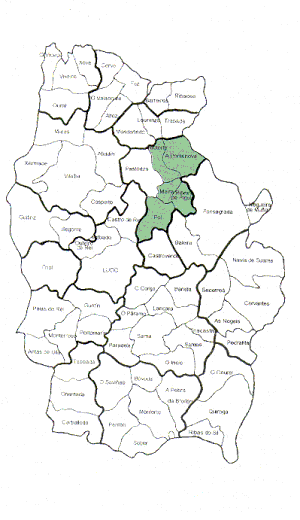 T�rminos municipales con mayor intensidad de repoblaci�n de esta especie.