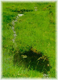 Bebedero r�stico aprovechando un manantial natural. marco da Curra (La Coru�a)