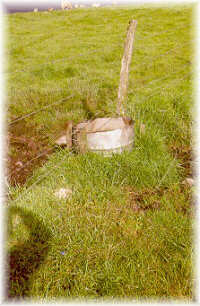 Bebedero aritificial. Marco da Curra (La Coru�a).