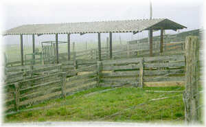 Corrales para pesaje y tratamientos sanitarios. Marco da Curra (La Coru�a).